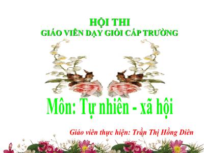 Bài giảng Tự nhiên xã hội 3 - Bài 14: Hoạt động thần kinh (tt) - Giáo viên: Trần Thị Hồng Diên