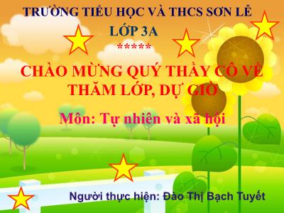 Bài giảng Tự nhiên & xã hội 3 - Bài 15: Vệ sinh thần kinh - GV: Đào Thị Bạch Tuyết