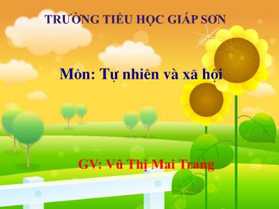 Bài giảng Tự nhiên & xã hội 3 - Bài 15: Vệ sinh thần kinh - GV: Vũ Thị Mai Trang