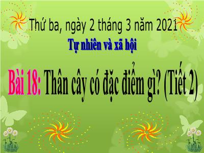 Bài giảng Tự nhiên & xã hội 3 - Bài 18: Thân cây có đặc điểm gì? (Tiết 2)