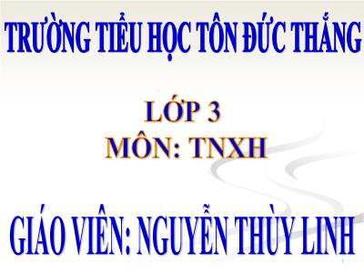 Bài giảng Tự nhiên & xã hội 3 - Bài 19: Các thế hệ trong một gia đình - Giáo viên: Nguyễn Thùy Linh