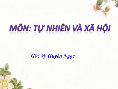 Bài giảng Tự nhiên & xã hội 3 - Bài 19: Các thế hệ trong một gia đình - GV: Vy Huyền Ngọc