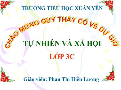 Bài giảng Tự nhiên & xã hội 3 - Bài 19: Các thế hệ trong một gia đình - Giáo viên: Phan Thị Hiền Lương