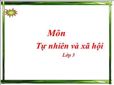 Bài giảng Tự nhiên & xã hội 3 - Bài 30: Hoạt động nông nghiệp