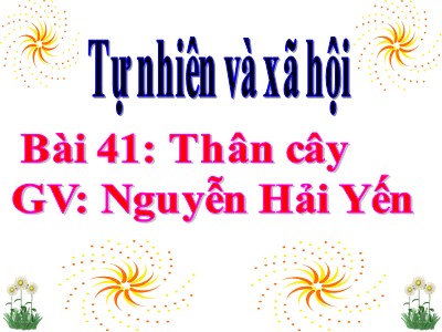 Bài giảng Tự nhiên & xã hội 3 - Bài 41: Thân cây - GV: Nguyễn Hải Yến