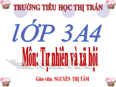 Bài giảng Tự nhiên & xã hội 3 - Bài 42: Thân cây (Tiếp theo) - Giáo viên: Nguyễn Thị Tâm