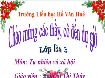 Bài giảng Tự nhiên & xã hội 3 - Bài 43: Rễ cây - Giáo viên: Nguyễn Thị Thúy