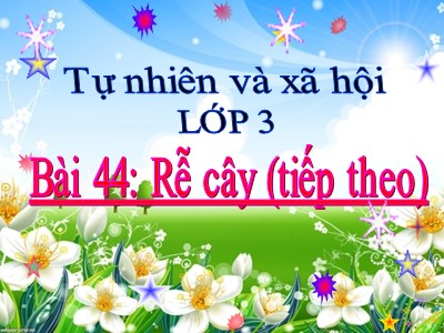 Bài giảng Tự nhiên & xã hội 3 - Bài 44: Rễ cây (tiếp theo)