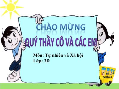 Bài giảng Tự nhiên & xã hội 3 - Bài 52: Cá