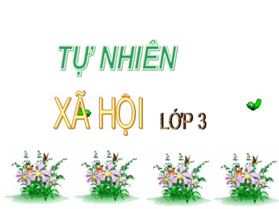 Bài giảng Tự nhiên & xã hội 3 - Bài 66: Bề mặt trái đất