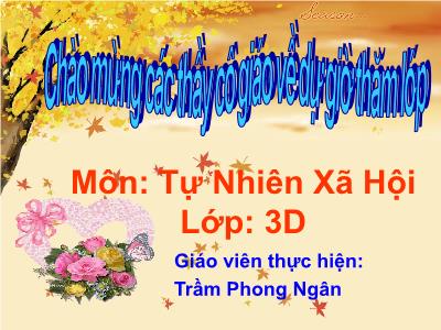 Bài giảng Tự nhiên & xã hội 3 - Bài 9: Phòng bệnh tim mạch - Giáo viên: Trần Phong Ngân