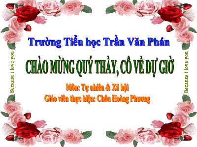 Bài giảng Tự nhiên & xã hội 3 - Bệnh lao phổi - Giáo viên: Châu Hoàng Phương