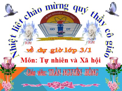 Bài giảng Tự nhiên & xã hội 3 - Các hoạt động thông tin liên lạc - Giáo viên: Trần Nguyên Hồng