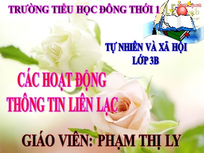 Bài giảng Tự nhiên & xã hội 3 - Các hoạt động thông tin liên lạc - Giáo viên: Phạm Thị Ly