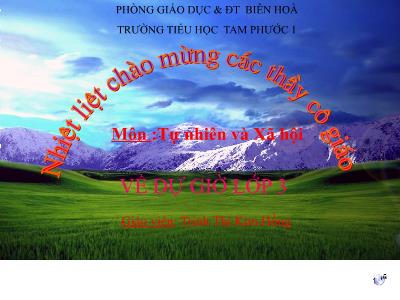 Bài giảng Tự nhiên & xã hội 3 - Họ nội, họ ngoại - Giáo viên: Trịnh Thị Kim Hồng