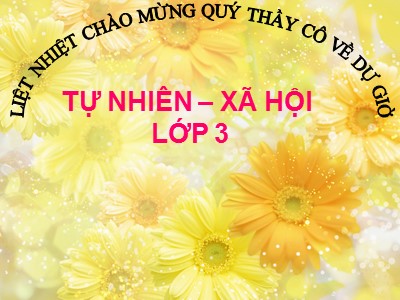 Bài giảng Tự nhiên & xã hội 3 - Hoa - Trường Tiểu học Làng Sen