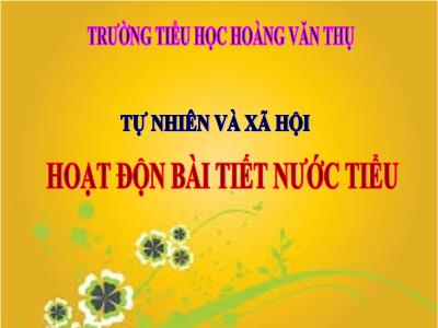 Bài giảng Tự nhiên & xã hội 3 - Hoạt động bài tiết nước tiểu - Trường tiểu học Hoàng Văn Thụ