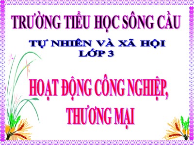 Bài giảng Tự nhiên & xã hội 3 - Hoạt động công nghiệp, thương mại - Trường tiểu học Sông Cầu