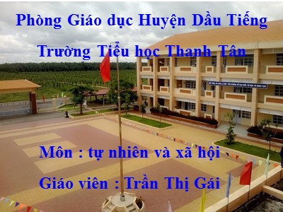 Bài giảng Tự nhiên & xã hội 3 - Hoạt động công nghiệp thương mại - Giáo viên: Trần Thị Gái