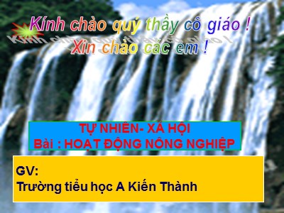 Bài giảng Tự nhiên & xã hội 3 - Hoạt động nông nghiệp - Trường tiểu học A Kiến Thành