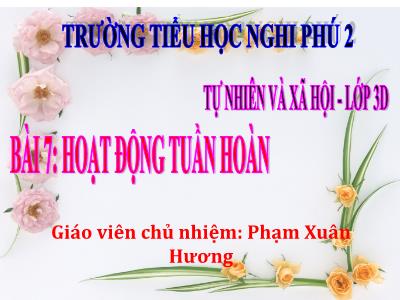 Bài giảng Tự nhiên & xã hội 3 - Hoạt động tuần hoàn - GV: Phạm Xuân Hương