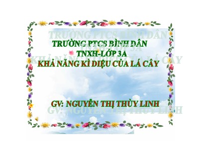 Bài giảng Tự nhiên xã hội 3 - Khả năng kì diệu của lá cây - GV: Nguyễn Thị Thùy Linh