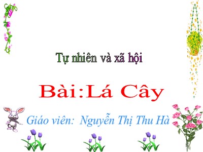 Bài giảng Tự nhiên & xã hội 3 - Lá cây - Giáo viên: Nguyễn Thị Thu Hà