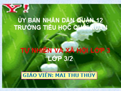 Bài giảng Tự nhiên & xã hội 3 - Làng quê và đô thị - Giáo viên: Mai Thu Thủy