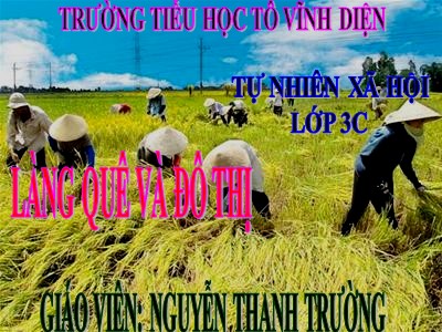 Bài giảng Tự nhiên & xã hội 3 - Làng quê và đô thị - Giáo viên: Nguyễn Thanh Trường