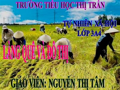 Bài giảng Tự nhiên & xã hội 3 - Làng quê và đô thị - Giáo viên: Nguyễn Thị Tâm