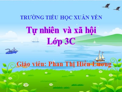 Bài giảng Tự nhiên & xã hội 3 - Làng quê và đô thị - Giáo viên: Phan Thị Hiền Lương