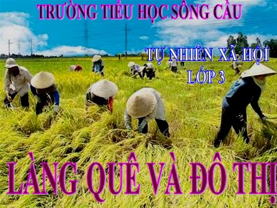 Bài giảng Tự nhiên & xã hội 3 - Làng quê và đô thị - Trường tiểu học Sông Cầu