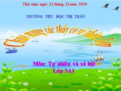 Bài giảng Tự nhiên & xã hội 3 - Làng quê và đô thị - Trường tiểu học thị trấn