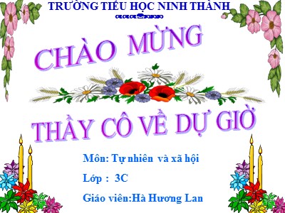 Bài giảng Tự nhiên & xã hội 3 - Một số hoạt động ở trường - Giáo viên: Hà Hương Lan