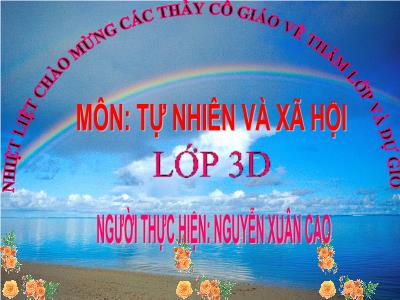 Bài giảng Tự nhiên & xã hội 3 - Phòng cháy khi ở nhà - GV: Nguyễn Xuân Cao