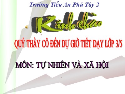 Bài giảng Tự nhiên & xã hội 3 - Phòng cháy khi ở nhà - Trường Tiểu An Phú Tây 2