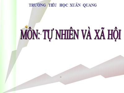 Bài giảng Tự nhiên & xã hội 3 - Phòng cháy khi ở nhà - Trường tiểu học Xuân Quang