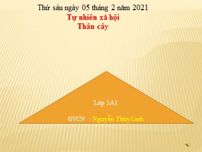 Bài giảng Tự nhiên xã hội 3 - Thân cây - GV: Nguyễn Thùy Linh