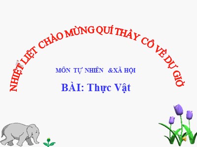 Bài giảng Tự nhiên & xã hội 3 - Thực Vật