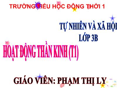 Bài giảng Tự nhiên & xã hội 3 - Tiết 13: Hoạt động thần kinh (t1) - Giáo viên: Phạm Thị Ly