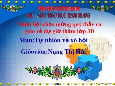 Bài giảng Tự nhiên & xã hội 3 - Tiết 15: Vệ sinh thần kinh - Giáo viên: Nông Thị Hải