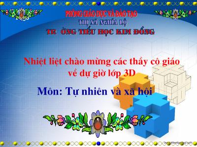 Bài giảng Tự nhiên & xã hội 3 - Tiết 15: Vệ sinh thần kinh