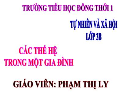 Bài giảng Tự nhiên & xã hội 3 - Tiết 19: Các thế hệ trong một gia đình - Giáo viên: Phạm Thị Ly