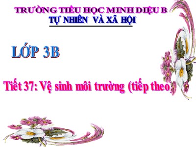 Bài giảng Tự nhiên & xã hội 3 - Tiết 37: Vệ sinh môi trường (tiếp theo) - Trường tiểu học Minh Diệu B