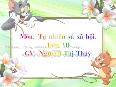 Bài giảng Tự nhiên & xã hội 3 - Tiết 43: Rễ cây (trang 82) - GV: Nguyễn Thị Thúy