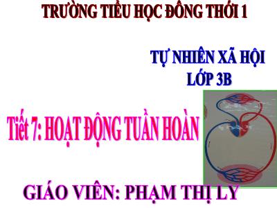 Bài giảng Tự nhiên & xã hội 3 - Tiết 7: Hoạt động tuần hoàn - Giáo viên: Phạm Thị Ly