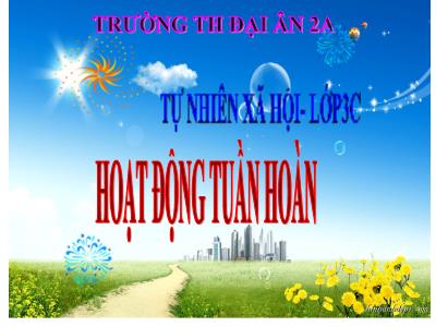 Bài giảng Tự nhiên & xã hội 3 - Tiết 7: Hoạt động tuần hoàn - Trường TH Đại Ân 2A