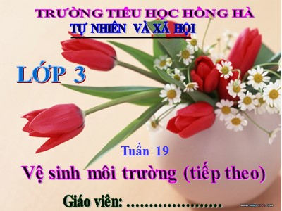 Bài giảng Tự nhiên & xã hội 3 - Tuần 19: Vệ sinh môi trường (tiếp theo) - Trường tiểu học Hồng Hà