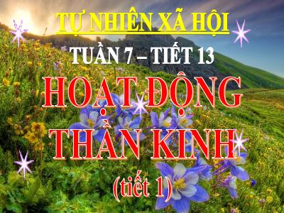 Bài giảng Tự nhiên & xã hội 3 - Tuần 7, Tiết 13: Hoạt động thần kinh (tiết 1)