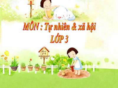 Bài giảng Tự nhiên & xã hội 3 - Vệ sinh hô hấp (SGK/9)